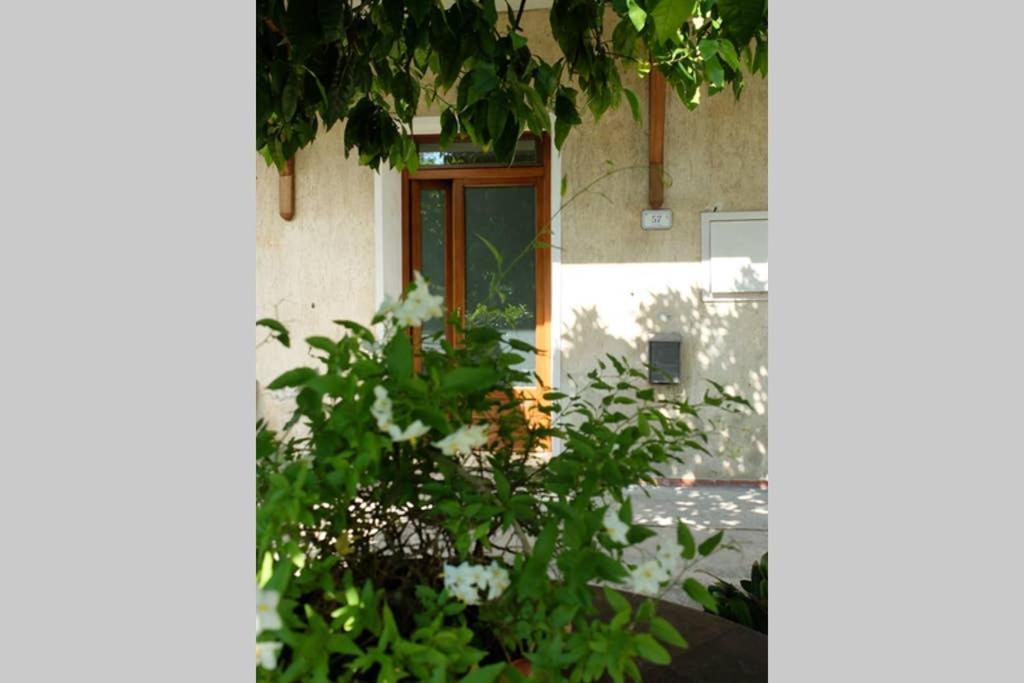 La Casina Di Bruna Mommio Ngoại thất bức ảnh