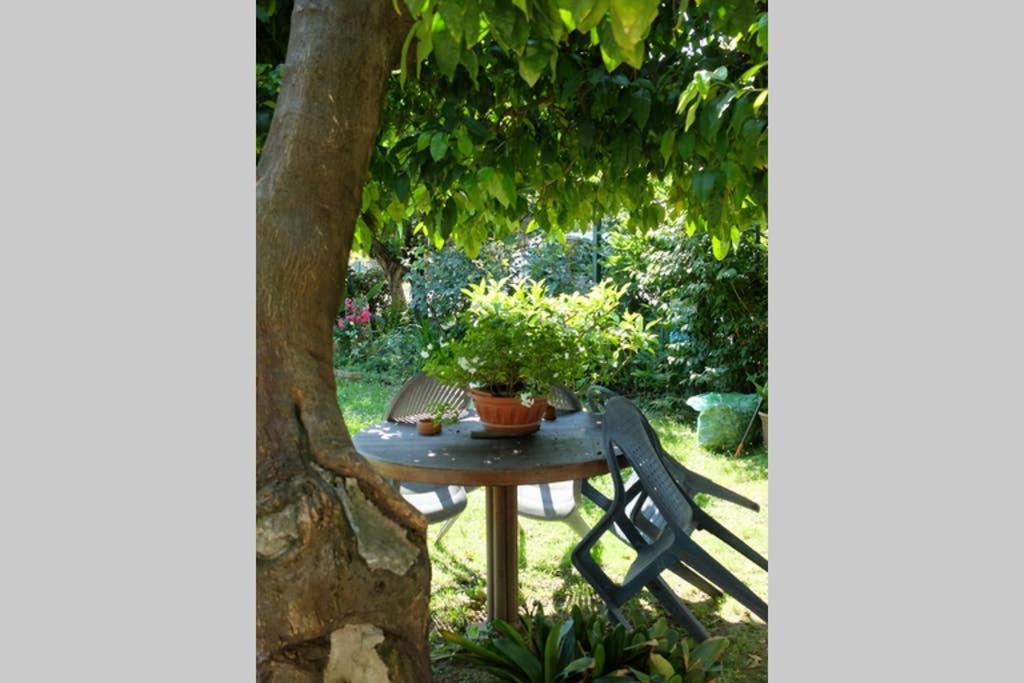 La Casina Di Bruna Mommio Ngoại thất bức ảnh